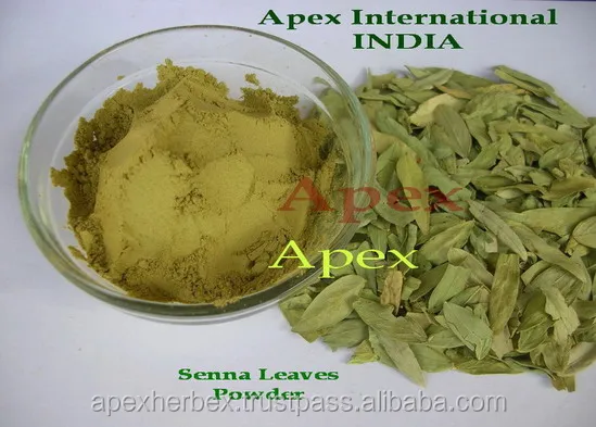 Organic Senna Leaves Senna Leaves Powder