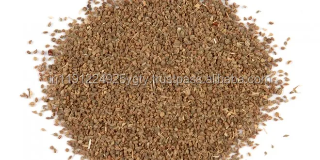 Wholesale Aromatherapy Customized Label 100% Pure High Quality Celery Seed Essential Oil