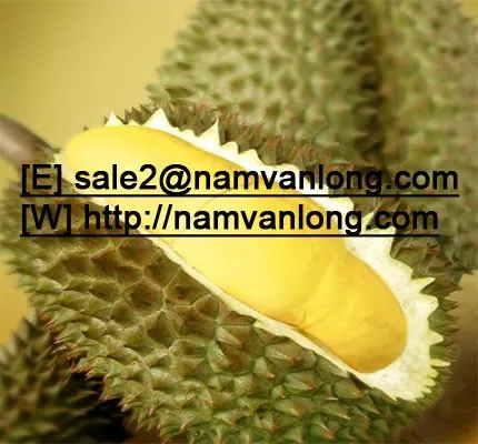 FRESH DURIAN at HIGH QUALITY & THE BEST PRICE.