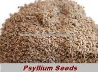  подорожника шелухи порошок/isabgal шелухи/isabgal порошок/psyllium шелухи/подорожника