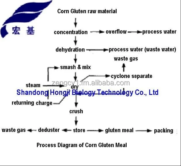 
Corn Gluten Meal (maize origin) 