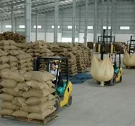  Кофе в зернах ROBUSTA вьетнамское производство