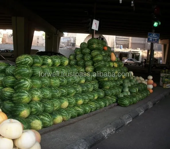 Свежий сладкий арбуз на продажу