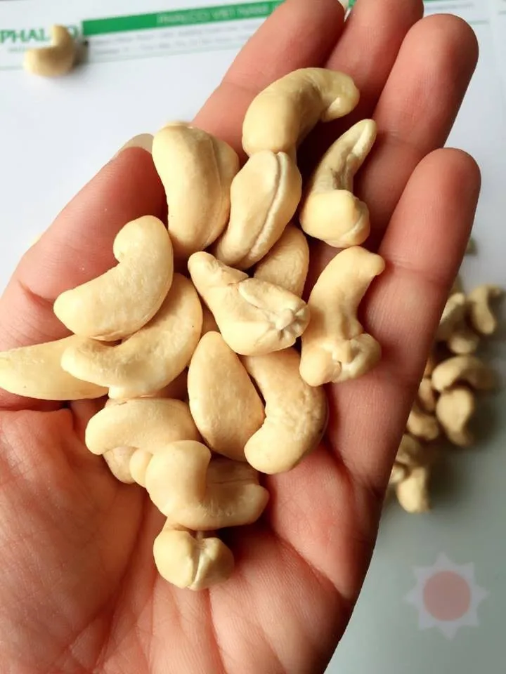 WW320 Сушеные Орехи кешью/орехи кешью W180 W240 W320 W450/Сертификация во Вьетнаме (0084339966582 -