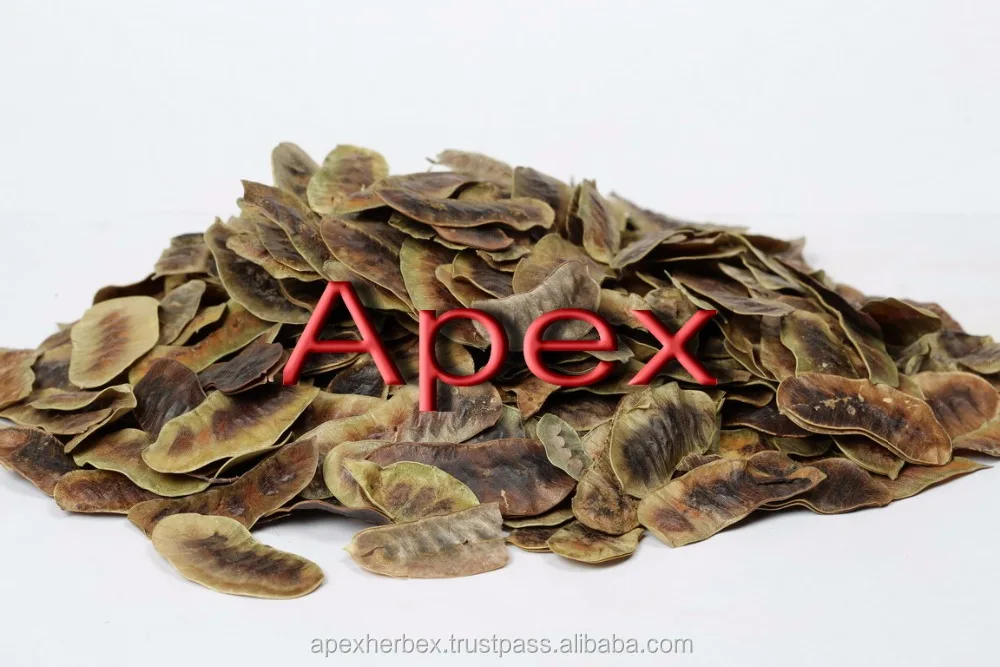 Senna Pod High Quality Senna Pod Cassia Angustifolia Pod TBC whole