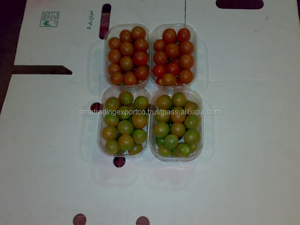 
fresh cherry tomato 