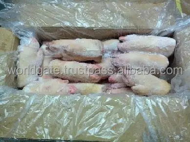 
Pork meat bulk 