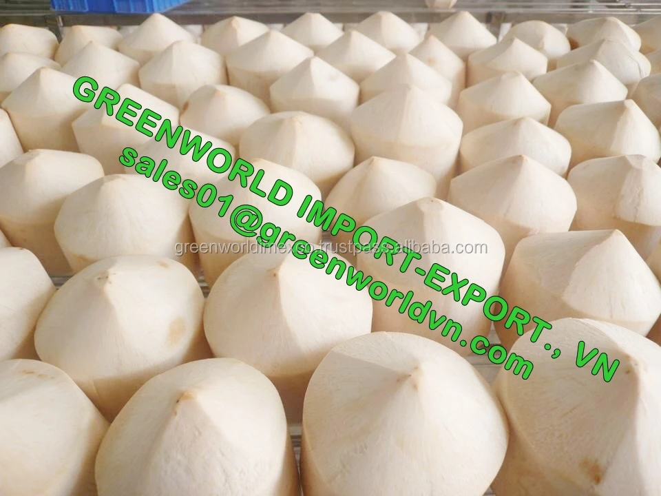 High Quality Young Coconut Vietnam Fresh Tropical COCONUT Sweet Young Fruit Water Drinking Whole Premium Quality Good Price