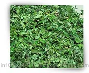 Капсулы моринга