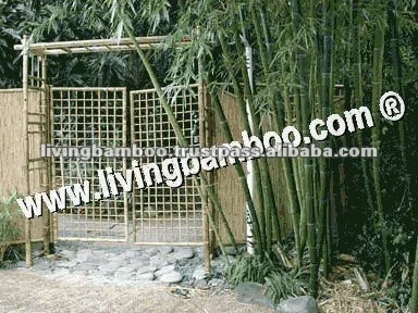 сад сети bamboo ворота с беседка