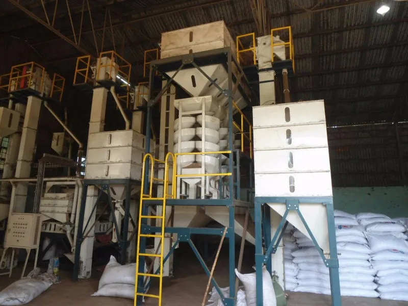 VIETNAM BLACK PEPPER 500G/L, 550G/L, CLEANED, 570G/L ASTA HIGH QUALITY FROM DIRECT SUPPLIER FACTORY