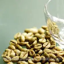 Высококачественные нежареные кофейные зерна Робуста