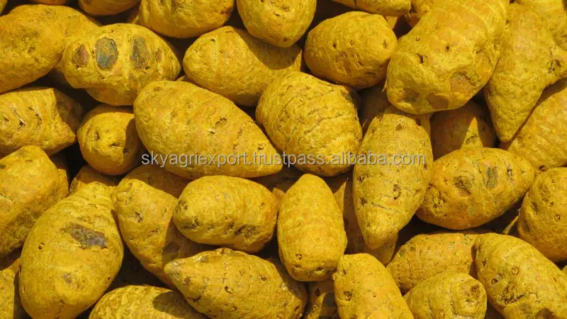 
Exporters of Dried Turmeric/Turmeric Curcumin 