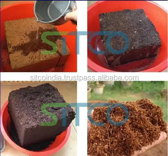 COCO PEAT FOR TOMOTTO GROWERS