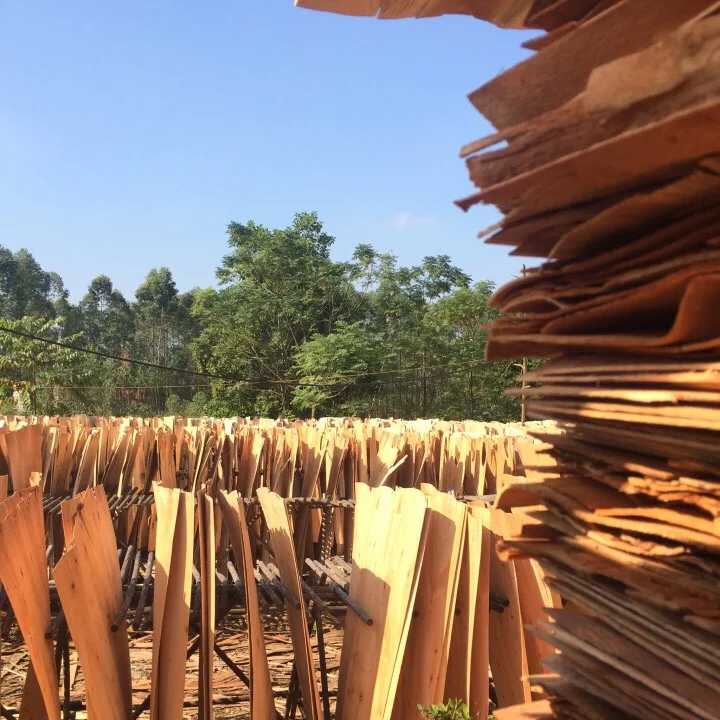 
Eucalyptus Core veneer 1270*640mm 1.7mm with good price 