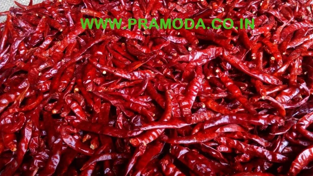 Factory Supply Natural Organic Vietnam Red Chilli in Market Price Best Exporter from India