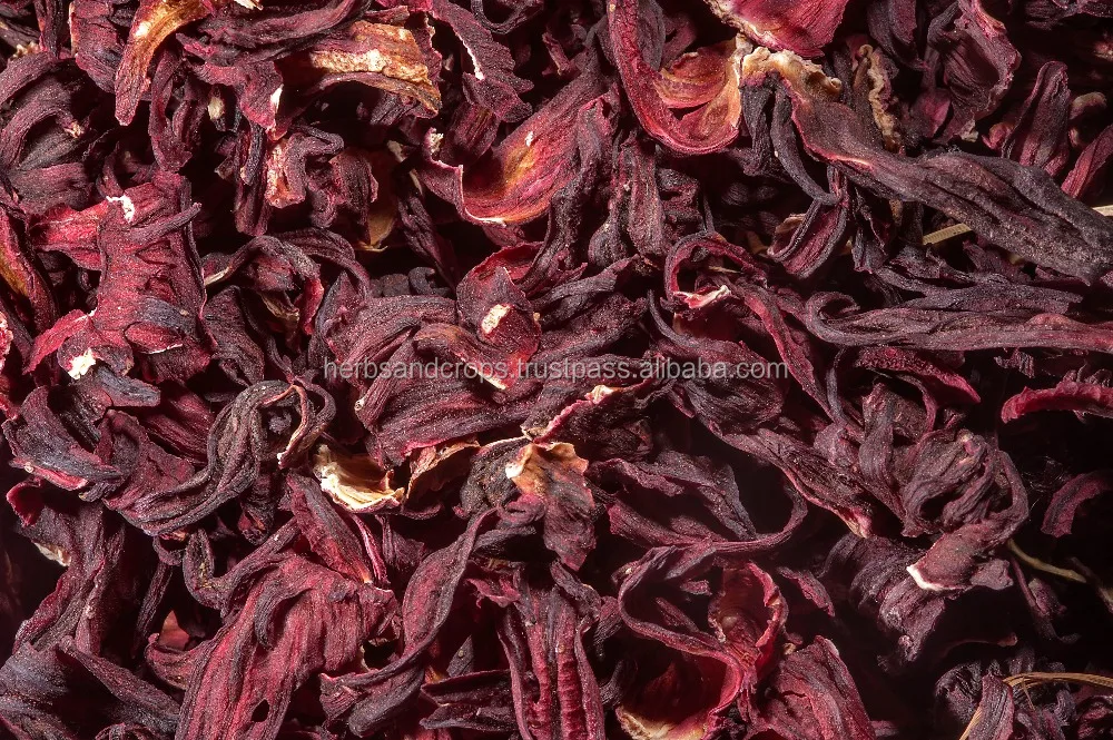 Hibiscus Rosa Sinensis Dried Flower
