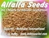 Продаем Семена люцерны