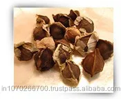 Капсулы моринга