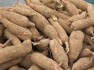 Крахмал Tapioca 100% органический натуральный сделано в вьетнаме