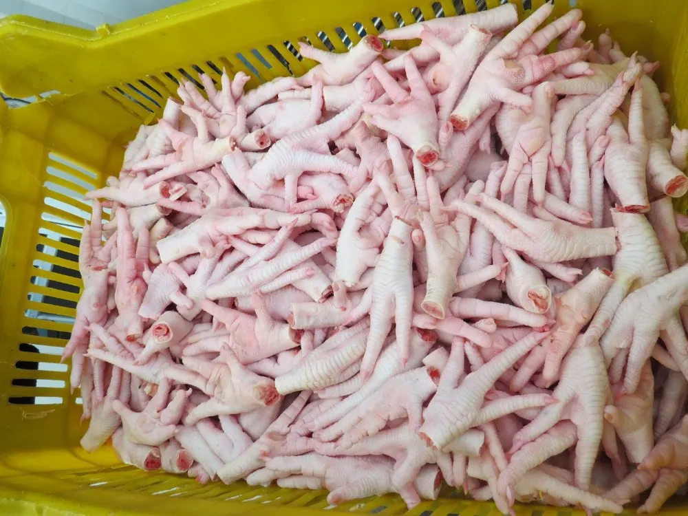 HALAL PROCESSED CERTIFIED FROZEN CHICKEN FEET & PAWS FROM MANUFACTURER