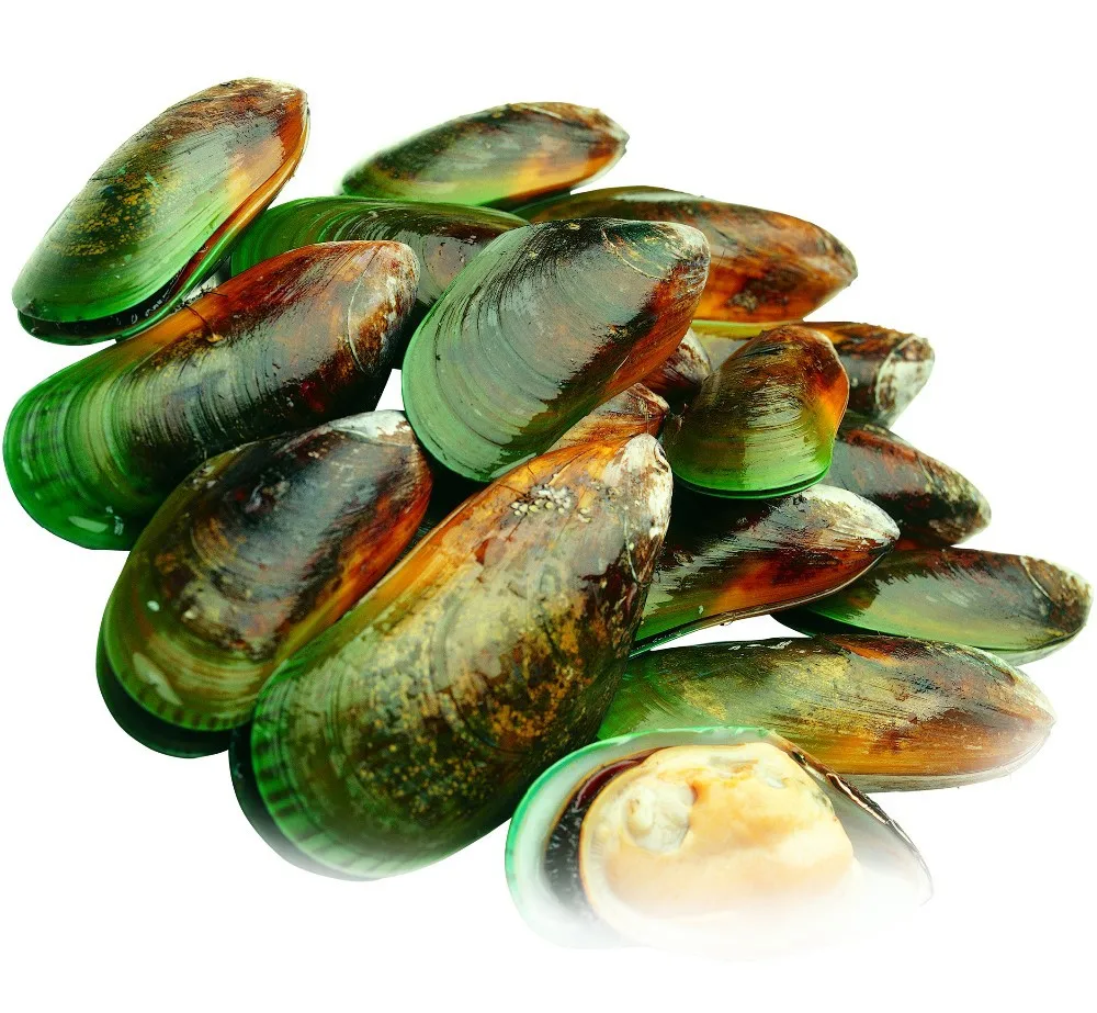 Pet Food Treats: Dried Green-lipped Mussel