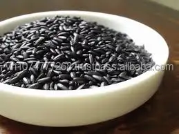 VIETNAMESE BLACK RICE 2021 -  HIGH QUALITY & BEST PRICE