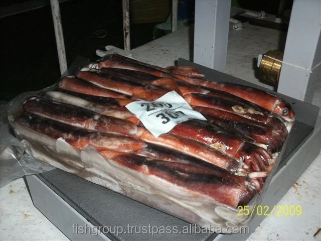 Серийный круглый кальмар Seafrozen Jigger Illex