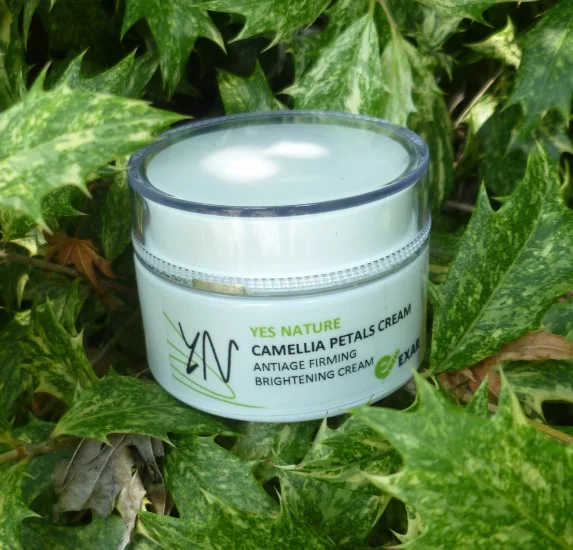 
Olive Oil Camellia Petals Beauty Product Face Cream for Dry Skin and Brightness 