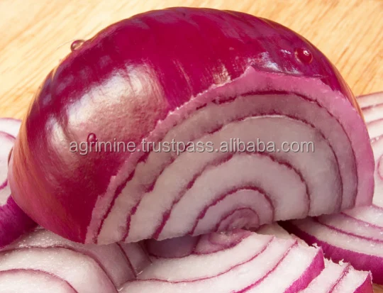 Red Big Onion from India