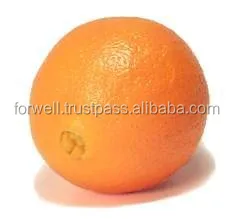 Top export citrus orange fruits with high quality from Egypt