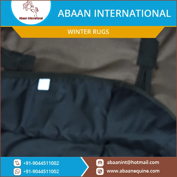 Extensive Collection of 600D Horse Winter Rug in Different Colors & Sizes