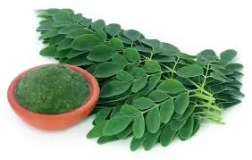 Moringa dried leaves