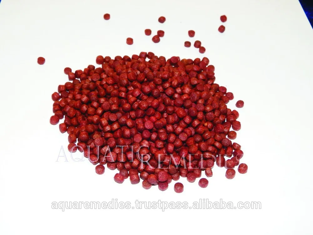 Рост, Цвет и глава горб усилитель - цветок рог корм для рыб - природный кальция, Astaxanthine и пуриновых