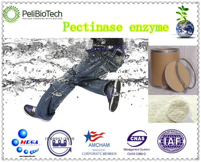 Acid pectinase by deep fermentation from Aspergillus Niger for biosourcing process