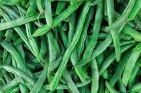 Cluster Beans Suppliers In India