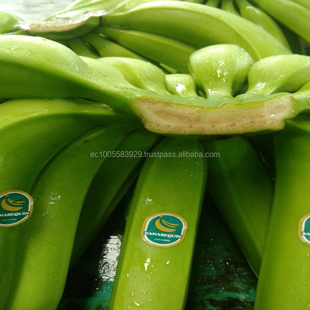 FRESH BANANAS FIRST QUALITY
