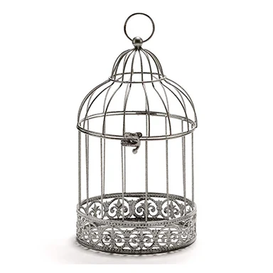 Metal wire Bird Cage Home Decor Hanging Fancy Brass  Birds CAGE