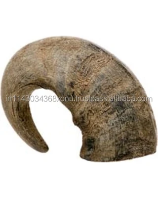 Indian NATURAL Buffalo Horn Solid Tip From 10 cm to 40 cm for Sale Authentic Raw Material Supply Chain