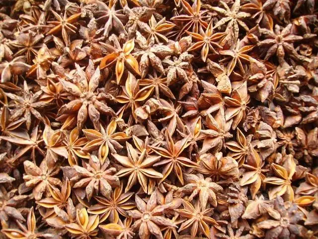 2021 Wholesale Viet Nam Factory Supplier Natural star anise Best Quality For Seasoning Harmless Healthy