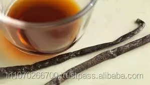 Vanilla Extract