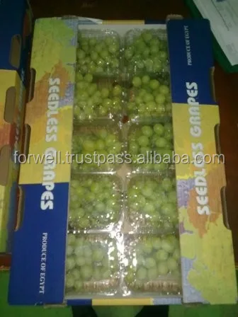 Tasty Fresh Seedless Grapes (Flame & Superior) Class One
