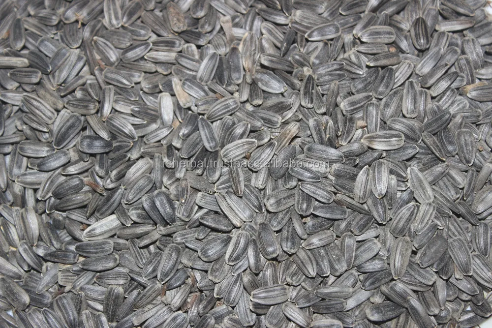 Sunflower cooking oil