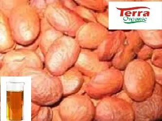 100% ORGANIC Karanja Oil obtained from karanja kernel used as fertilizer and insecticide for plants and farms