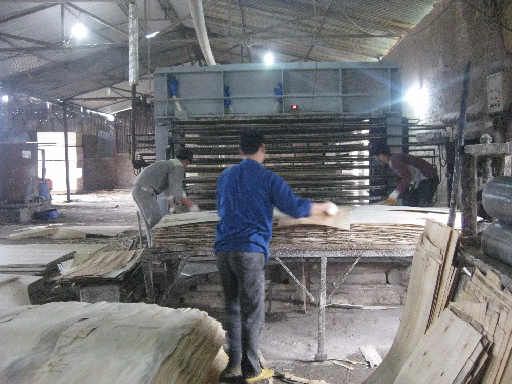 
Plywood made from eucalyptus wood in Vietnam 
