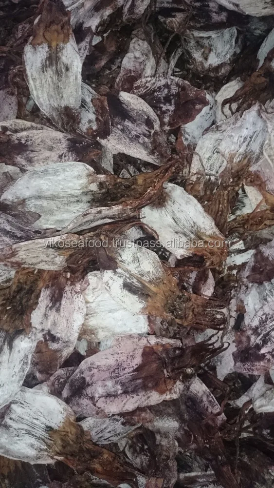 
DRIED BLACK SQUID FOR SALE 