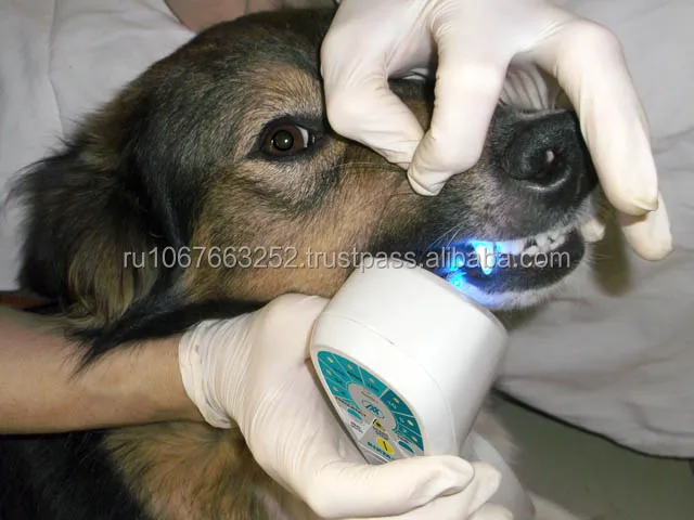 The apparatus of magneto-infrared laser therapeutic RIKTA-VET