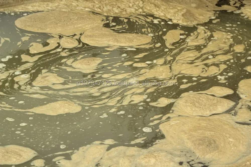  Удаление фекальных колиформ на очистительном заводе