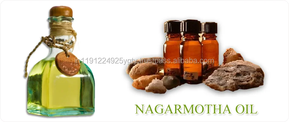 100% Pure High Quality Nagarmotha Essential Oil Nut Grass Oil Cypriol Oil From India
