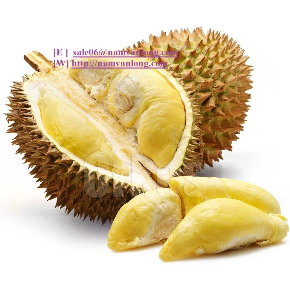 FRESH DURIAN WITH HIGH QUALITY